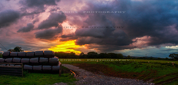 P9130265-Pano