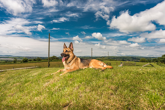GSD-Gemma-17