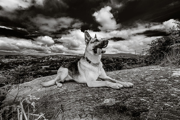 GSD-Gemma-13-2