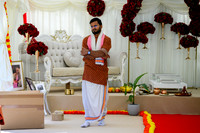 015- Alison & Girish - wedding-z
