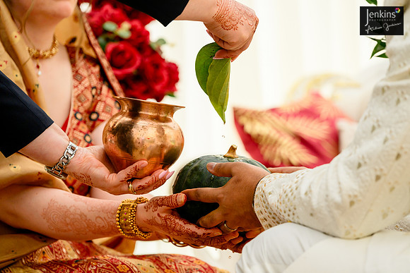 350- Alison & Girish - wedding-z