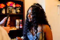 003- Alison & Girish - wedding-z