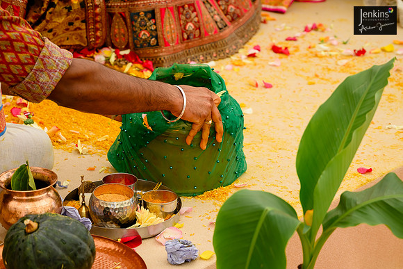 561- Alison & Girish - wedding-z