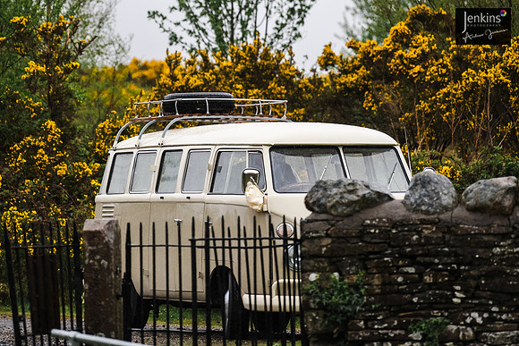 61 Lois & Rhodri 2025-z